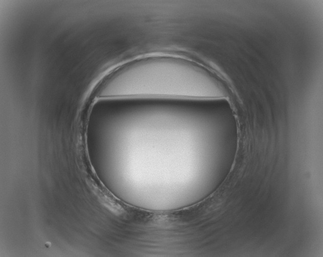 X0000082181360200701191042