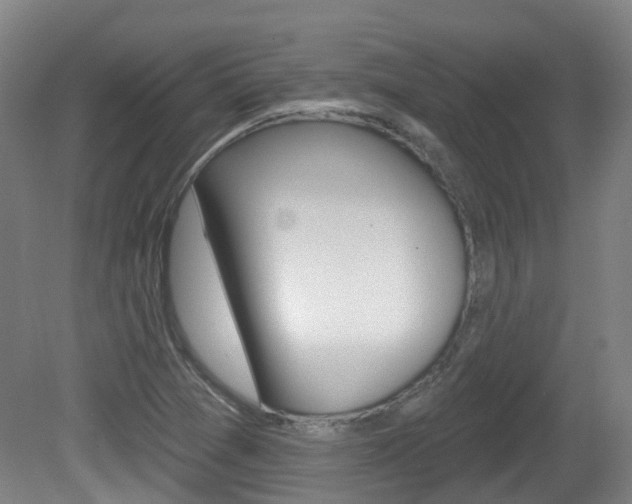 X0000082181361200701191042