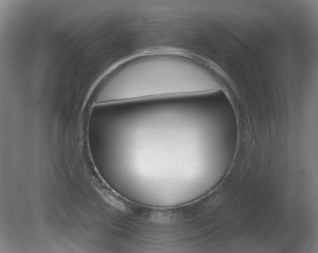 X0000082181364200701191042