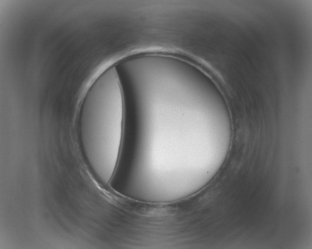 X0000082181367200701191041