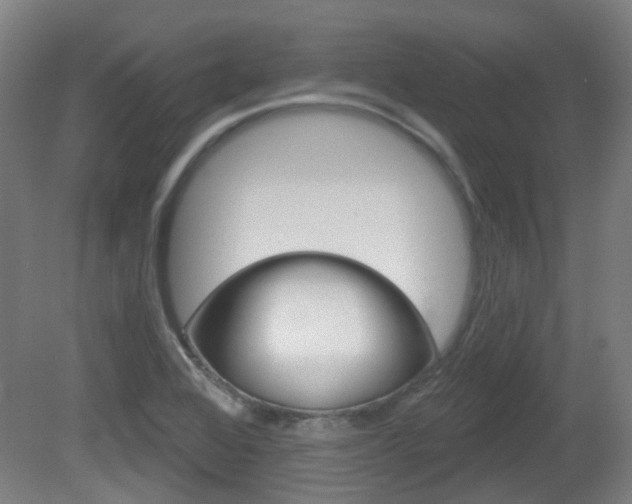 X0000082181368200701191041