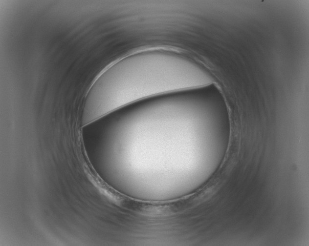 X0000082181369200701191041