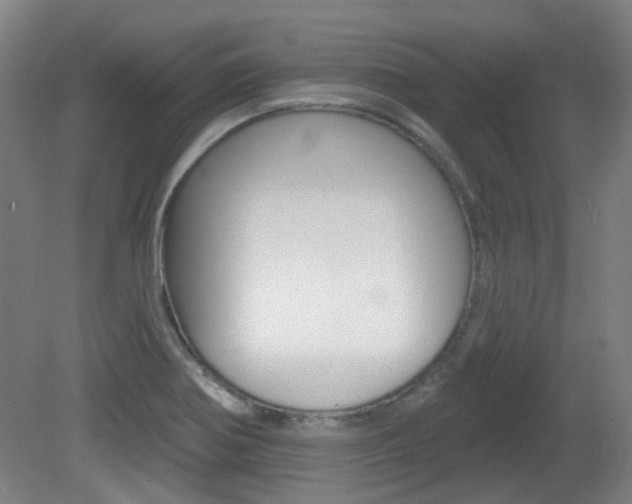 X0000082181370200701191041