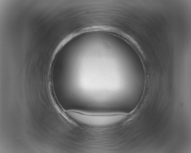 X0000082181373200701191041