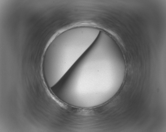 X0000082181374200701191041