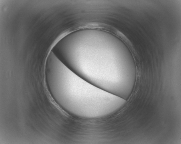 X0000082181378200701191041