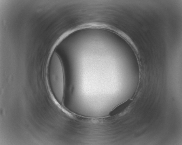 X0000082181381200701191041