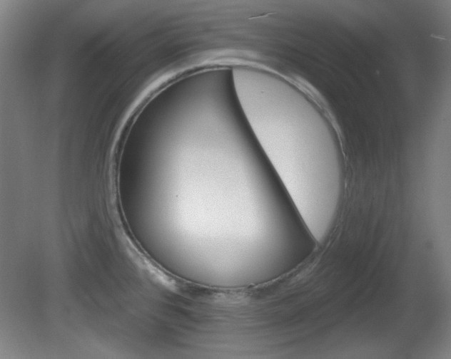 X0000082181384200701191041
