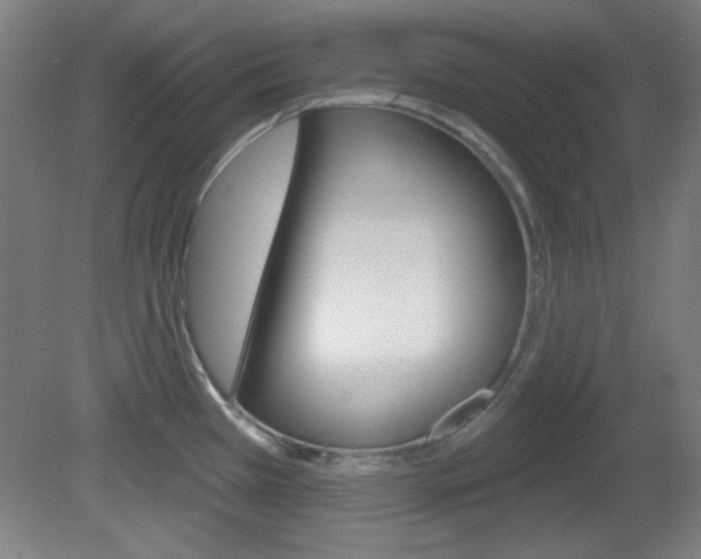 X0000082181385200701191041