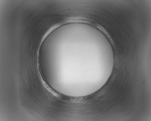 X0000082181386200701191041
