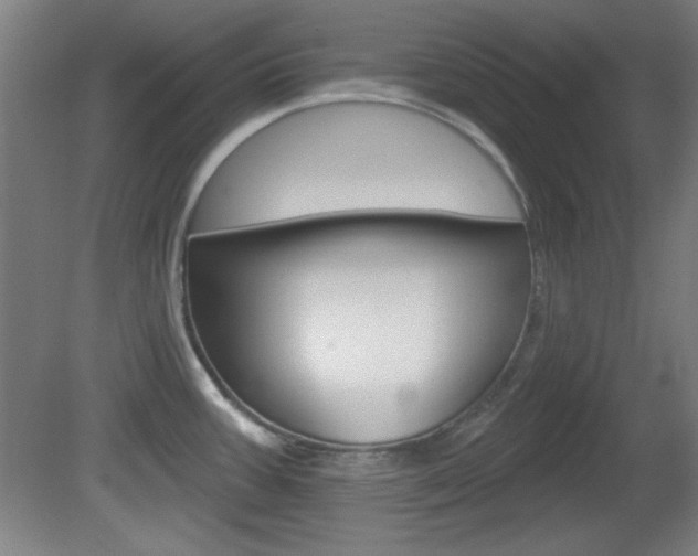 X0000082181387200701191041