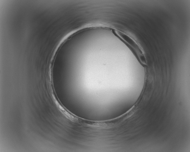X0000082181388200701191041