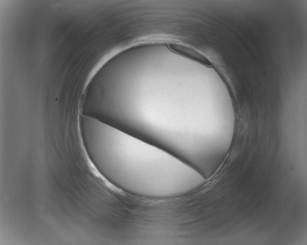 X0000082181390200701191041