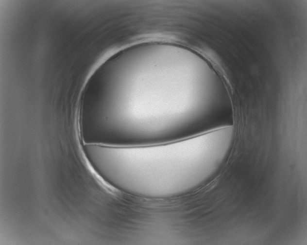 X0000082181391200701191041