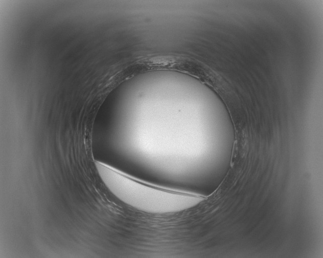 X0000082181394200701191040
