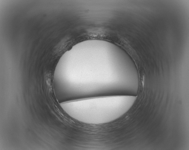 X0000082181396200701191040