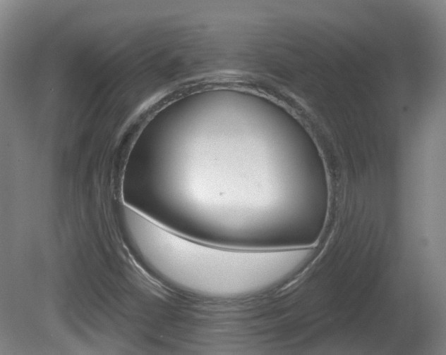 X0000082181402200701191040