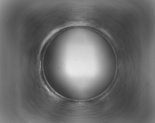 X0000082181414200701191041
