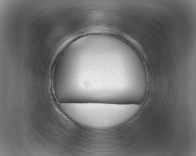 X0000082181415200701191041