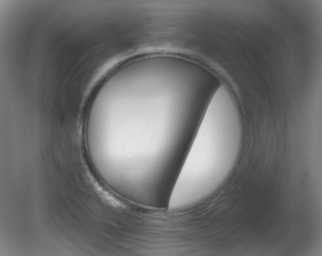 X0000082181416200701191041