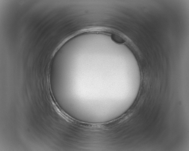 X0000082181417200701191041