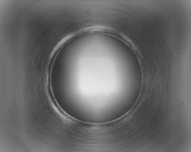 X0000082181418200701191041