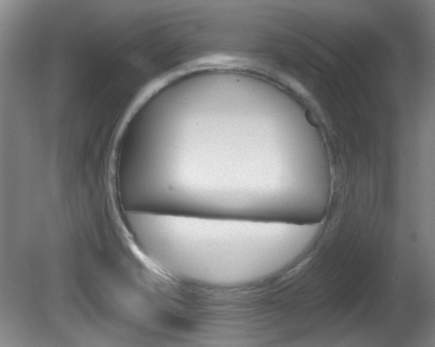 X0000082181421200701191041
