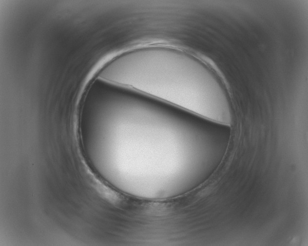 X0000082181424200701191041
