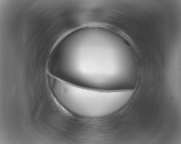 X0000082181428200701191041