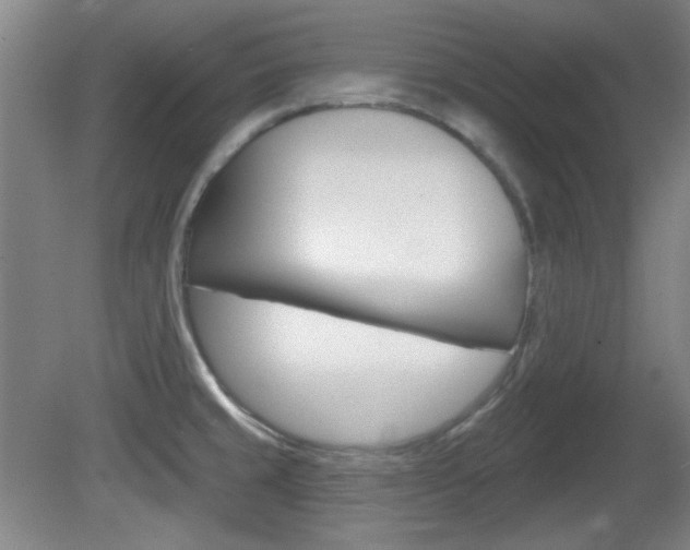 X0000082181429200701191041