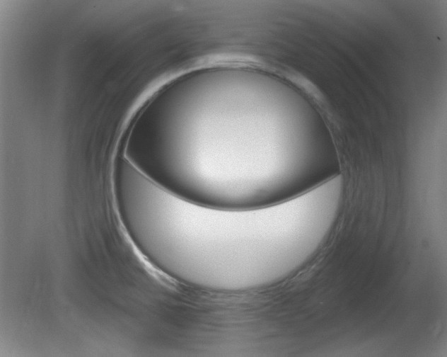 X0000082181430200701191041