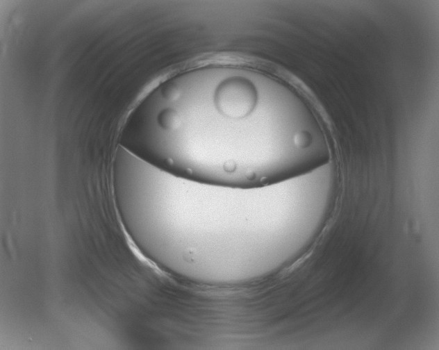 X0000082181433200701191041