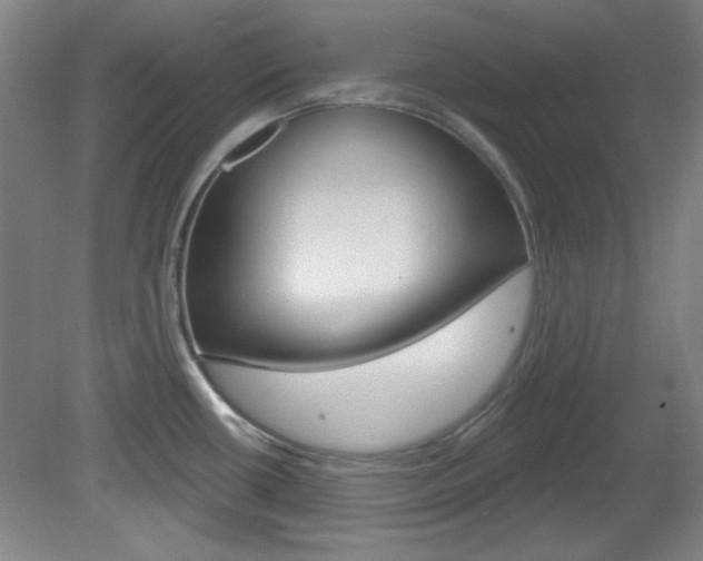 X0000082181434200701191041