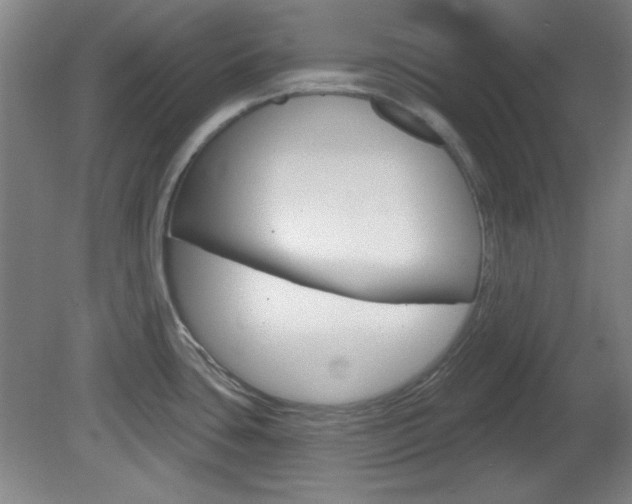 X0000082181435200701191041