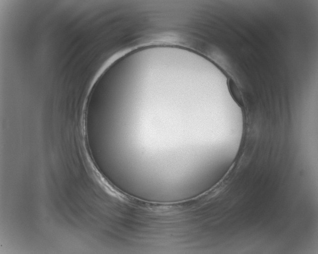 X0000082181436200701191041