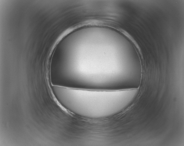 X0000082181437200701191041