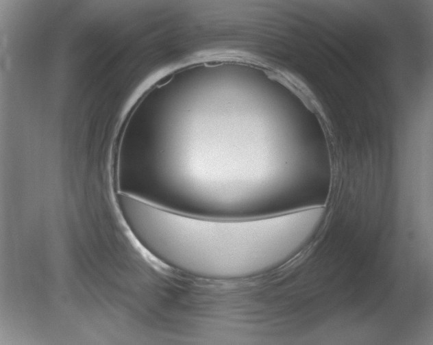 X0000082181438200701191041