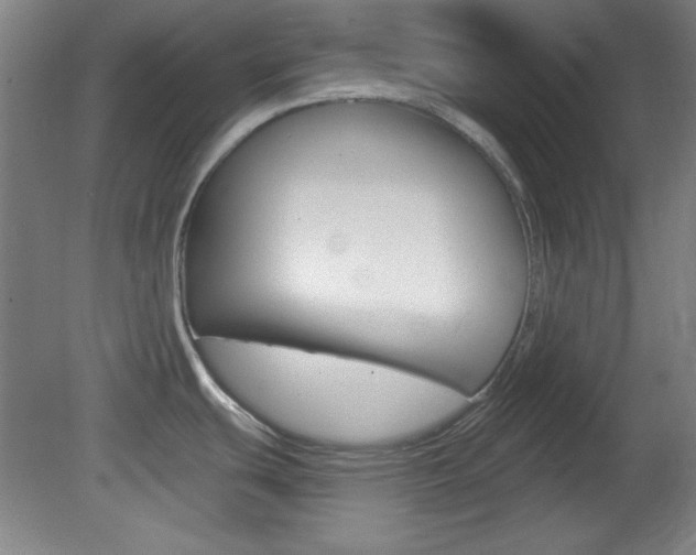 X0000082181439200701191041