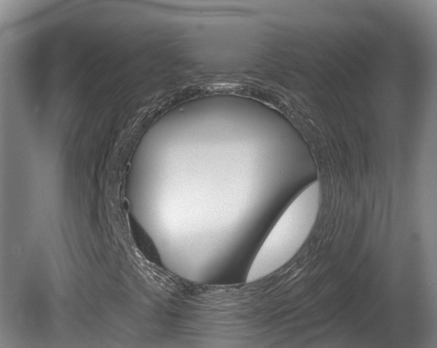 X0000082181441200701191040