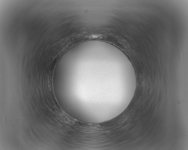 X0000082181442200701191040