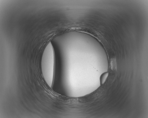 X0000082181444200701191040