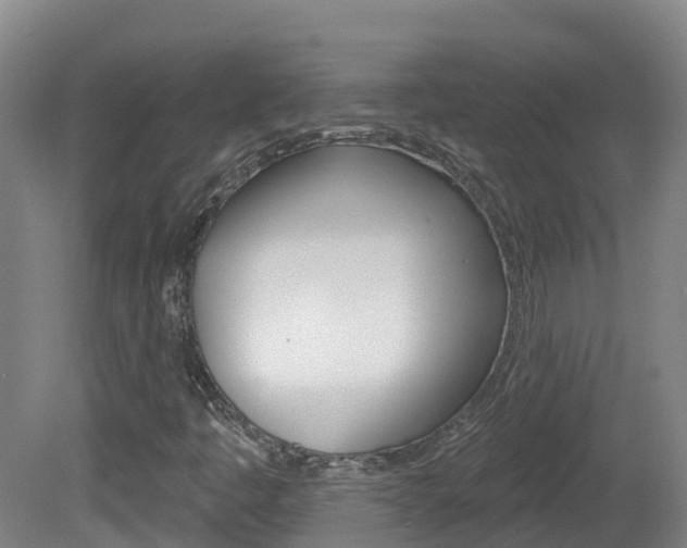 X0000082181445200701191040