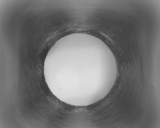 X0000082181447200701191040