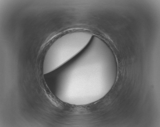X0000082181448200701191040