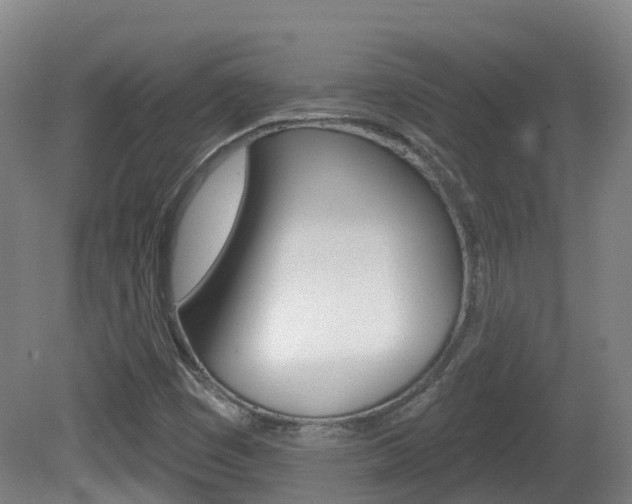 X0000082181449200701191040