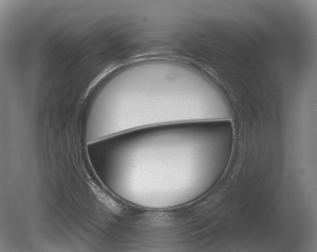 X0000082181450200701191040