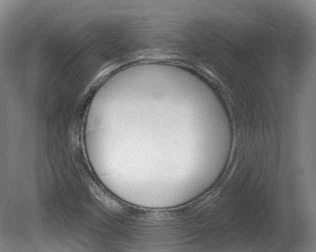 X0000082181451200701191040