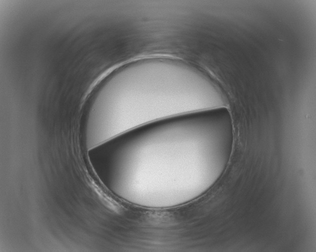 X0000082181452200701191040