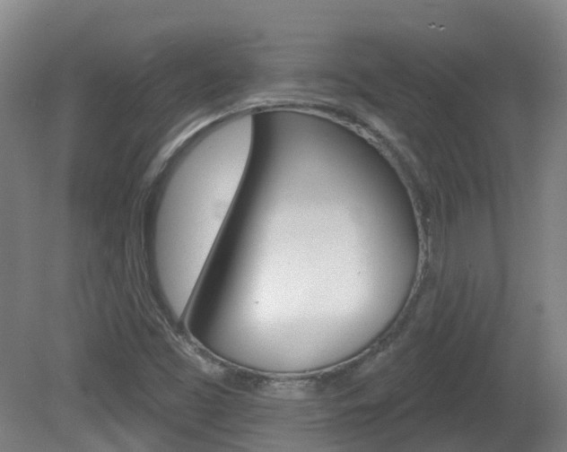 X0000082181453200701191040
