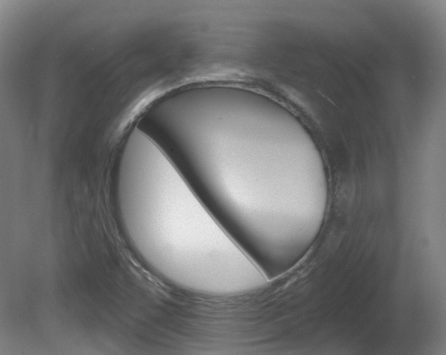 X0000082181455200701191040